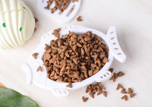 新手养泰迪犬用什么狗粮,新手养泰迪狗狗攻略