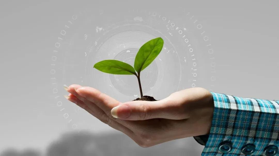 人肉搜索举报违法行为,人肉搜索不公布违法吗