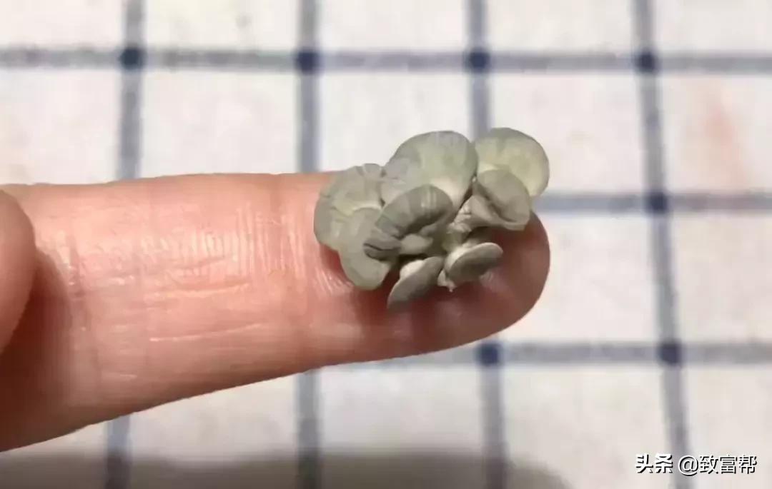 90后母亲被骗,90后妈妈因造假走红