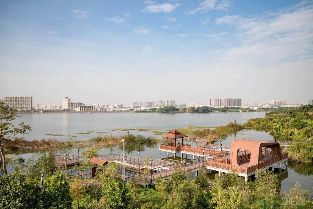 鍘夊浜嗘垜鐨勫ぇ閽﹀窞,鍘夊浜嗘垜鐨勫ぇ淇濆畾