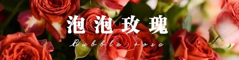 花店必备的5款玫瑰,花店最常用什么品种的玫瑰花