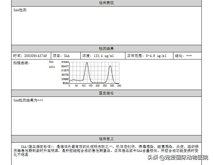 猫传腹治好了还会传染给其他猫吗,猫传腹打441见效后会一直变好吗