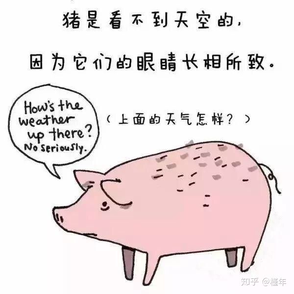 想象中不一样的动物冷知识,悲伤的动物视频