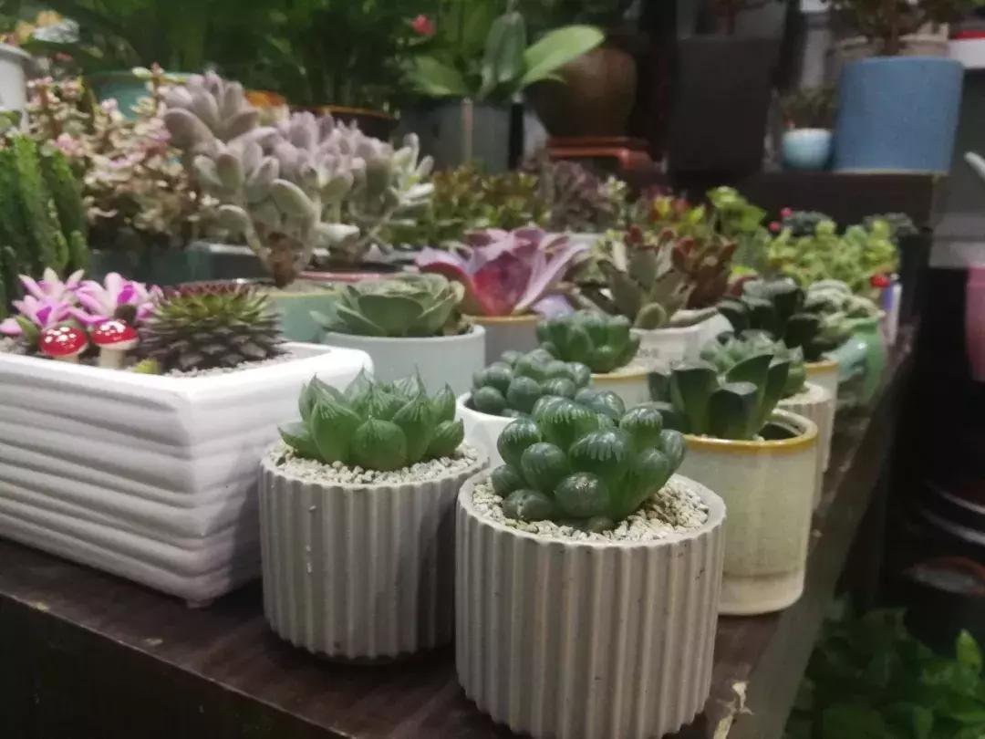 80%的毛利,毛利80%要卖多少钱