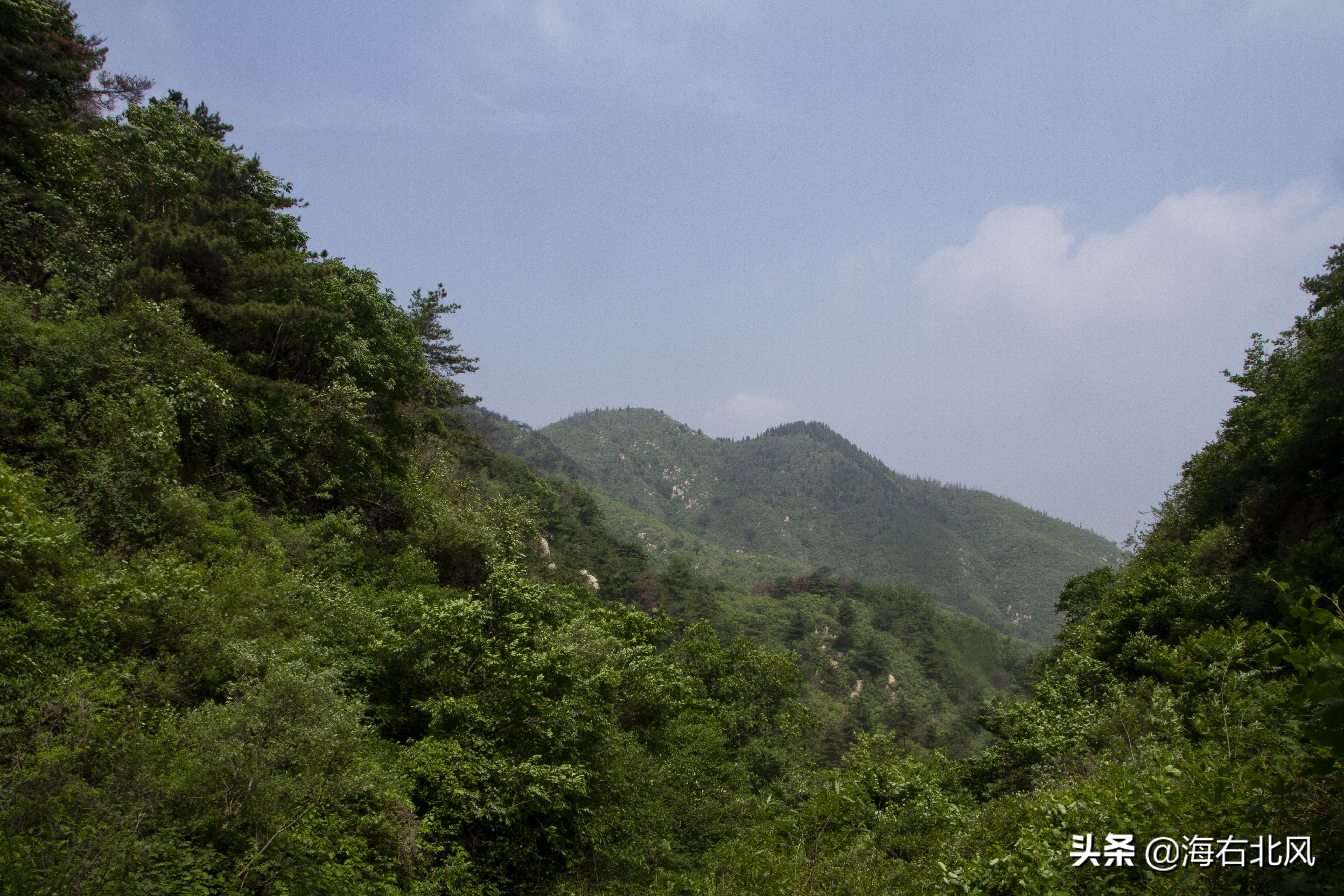 藕池镇有玩游戏的吗,藕塘周边一日游推荐