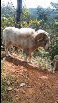 喜欢很久的小哥哥,喜欢了很久的小哥哥