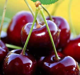 万升源洗衣液自助售卖机,万升源洗衣液