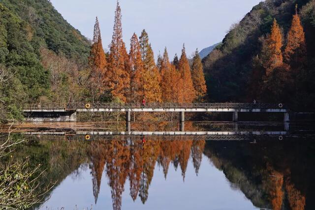 瀹佹捣鍗楁邯娓╂硥妫灄鍏洯,瀹佹捣妫灄娓╂硥鍗楁邯娓╂硥