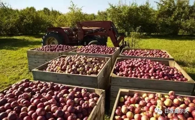 20个日本农场案例,日本最成功的主题农场