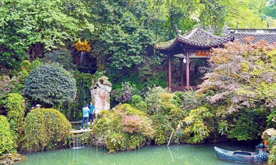 欣赏西湖的全景太美了,西湖美景实在美怎么也看不够