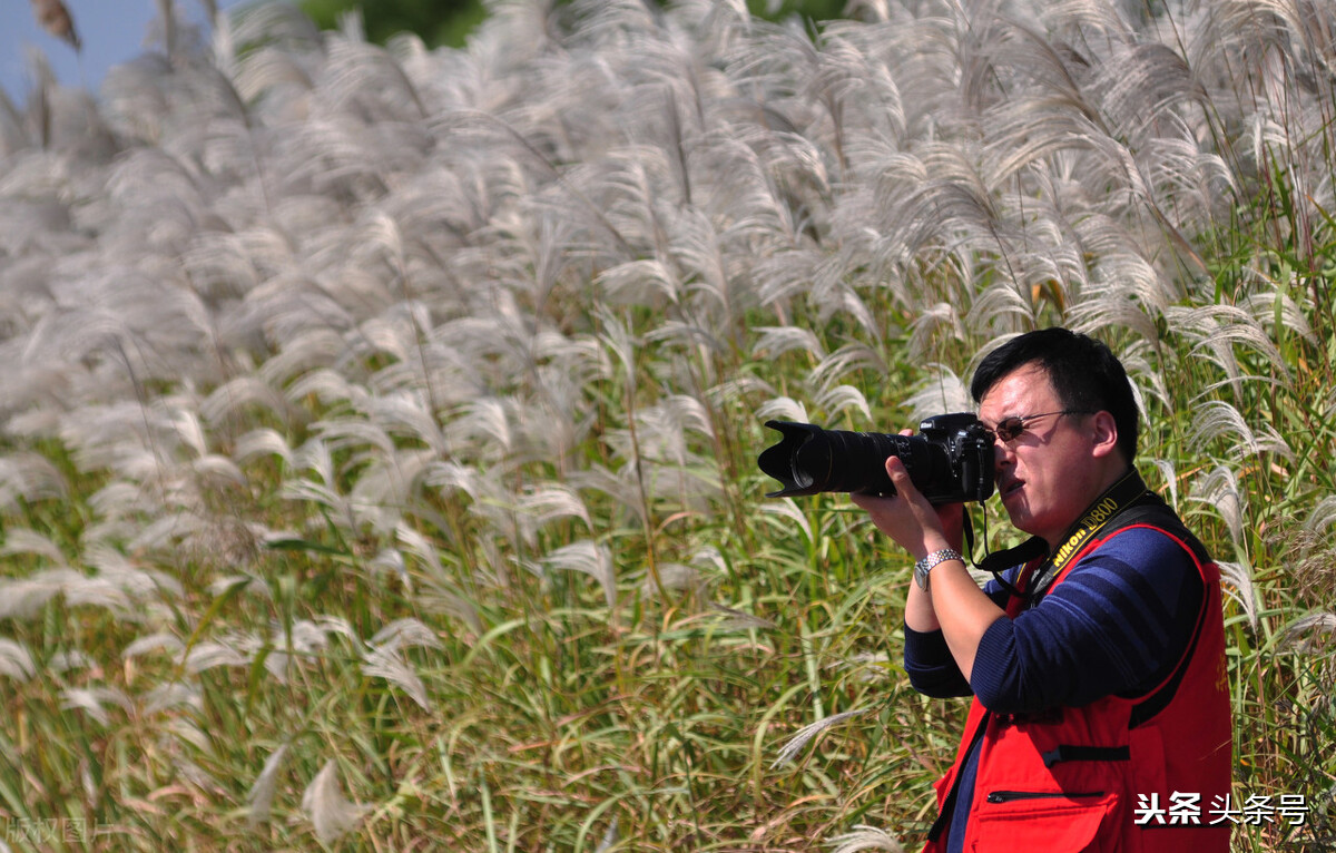回顾东方白鹳迁徙路上的生存困境,东方白鹳在哪里栖息