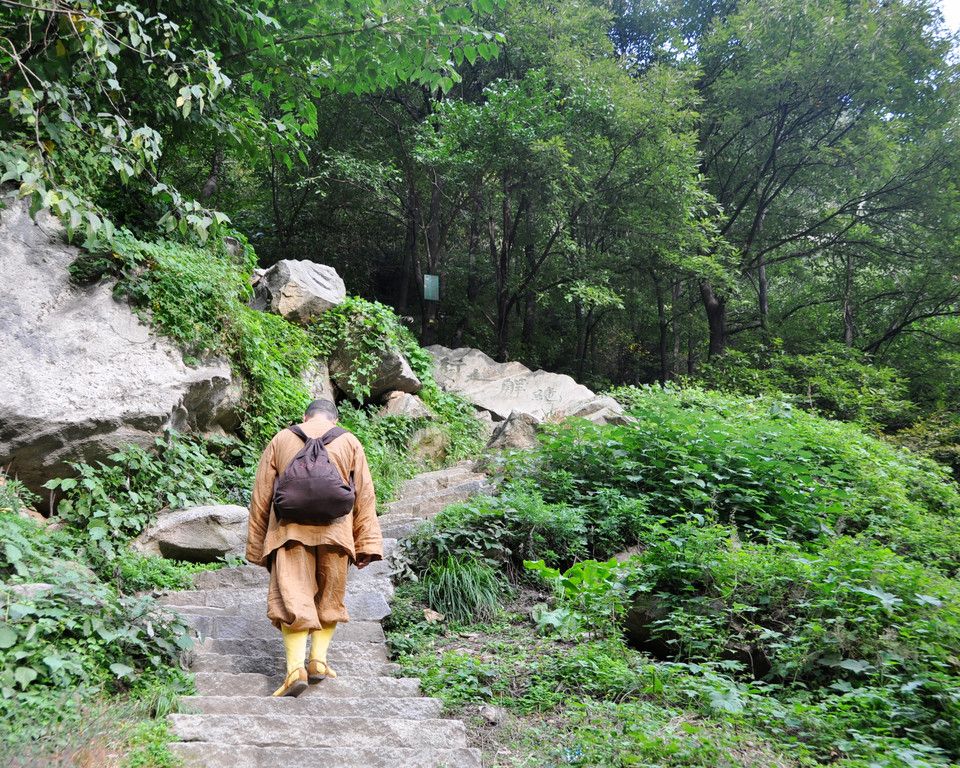 王维终南山游记,海南南山游记散文作文