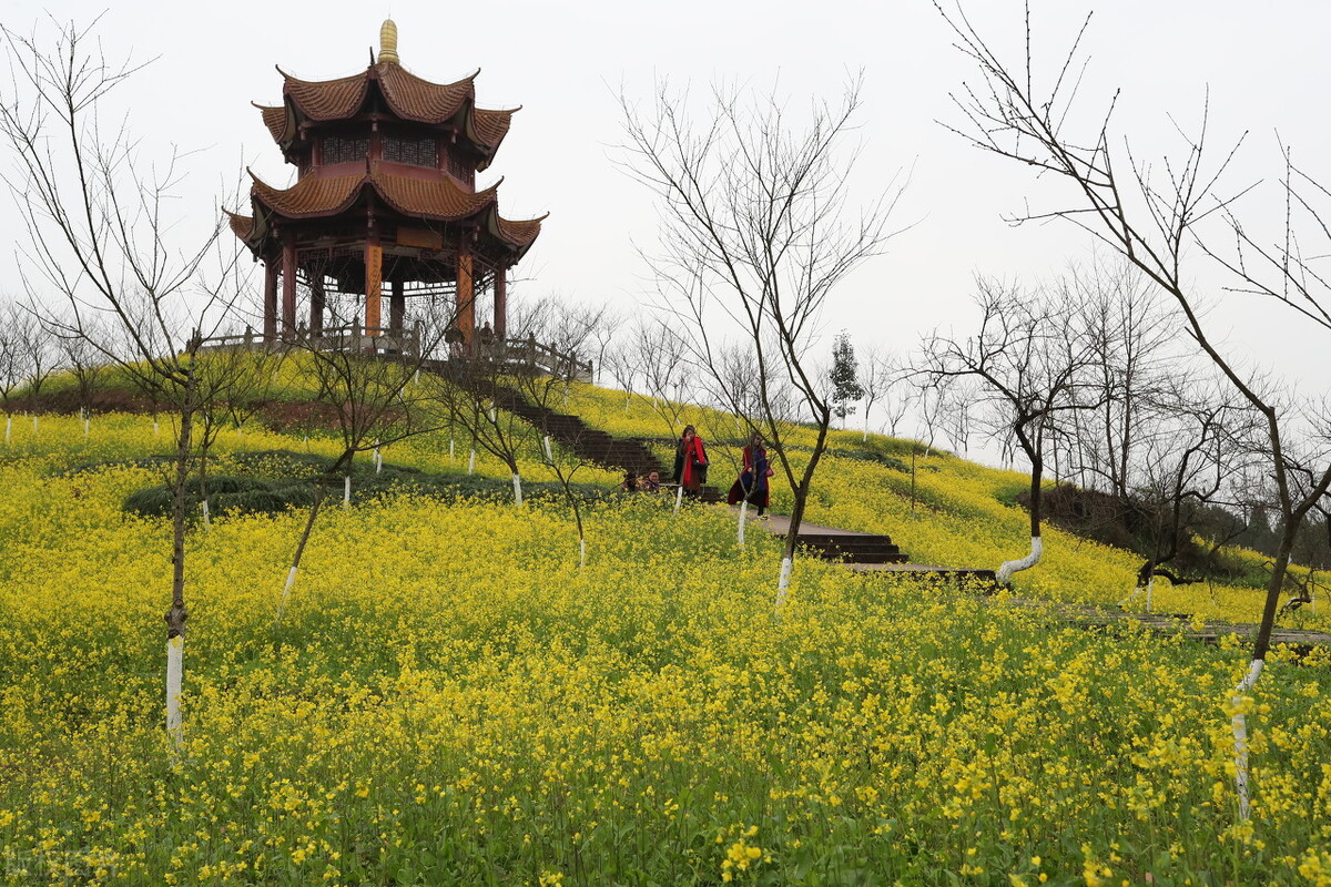 楂樻烦婧ф按瀵瑰崡浜湁褰掑睘鎰熷悧,楂樻烦婧ф按鍗氭湜