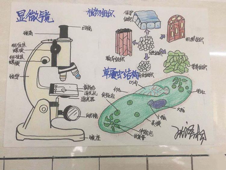 生物绘图大赛图片大全,地理生物绘图比赛