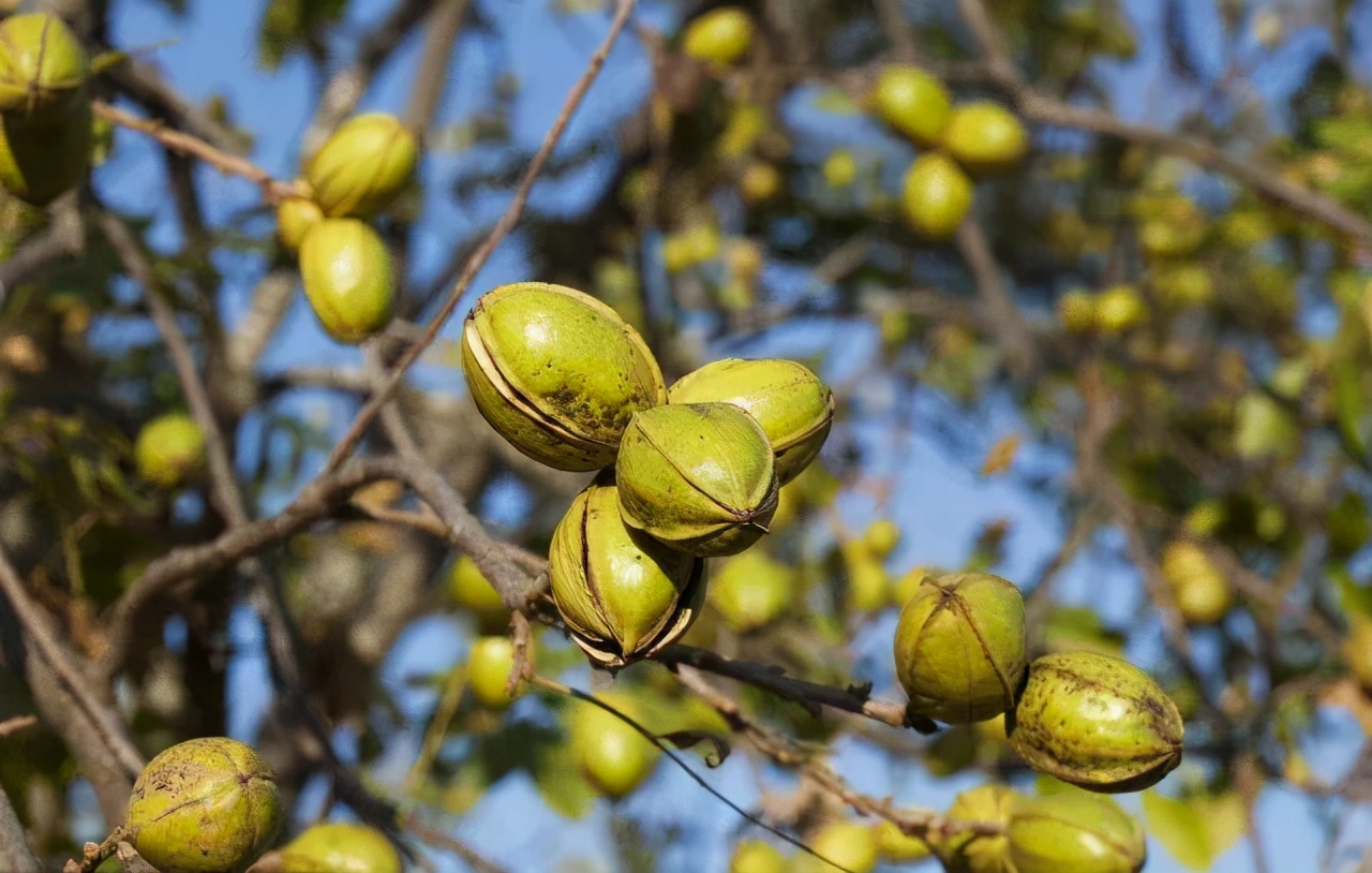 创业女性80后,浙江80后女人创业案例