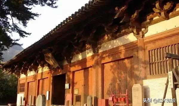 蜂蜡树蜡的区别,木蜡和蜂蜡哪个好