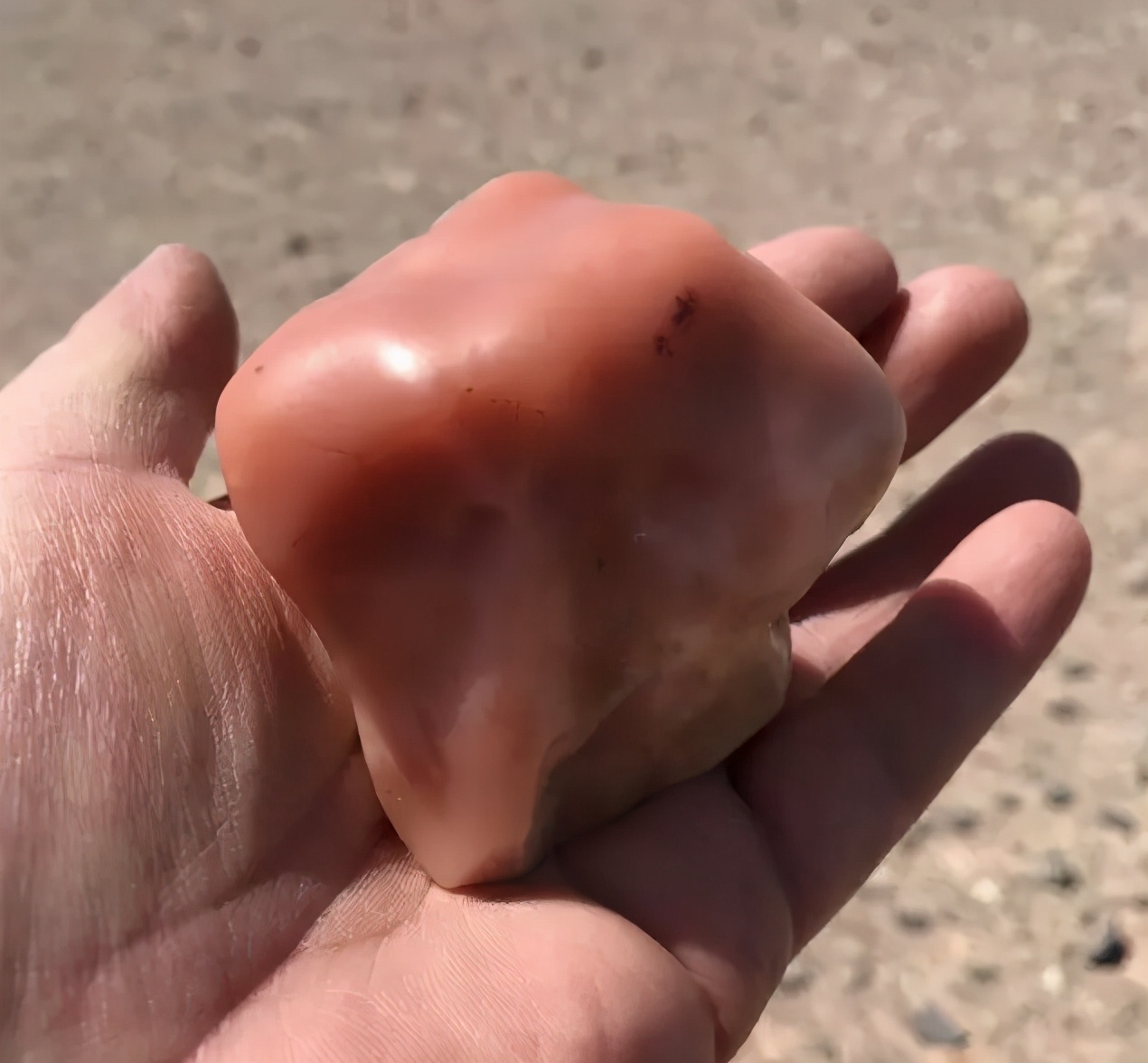 起步价5位数，究竟是什么样的石头，让那么多人冒死去捡