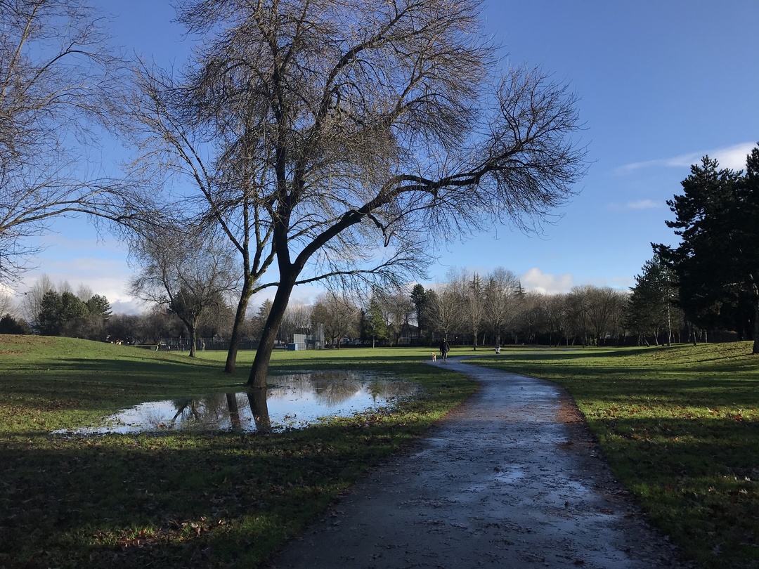 支付宝和微信支付在国外普及吗,支付宝和微信支付哪些国家能用