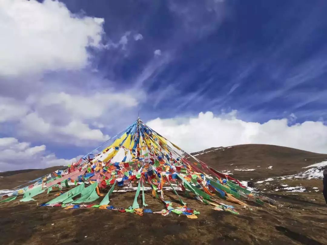 卡罗拉tnga1.5lcvt精英版,tnga加持的全新卡罗拉到底好在哪