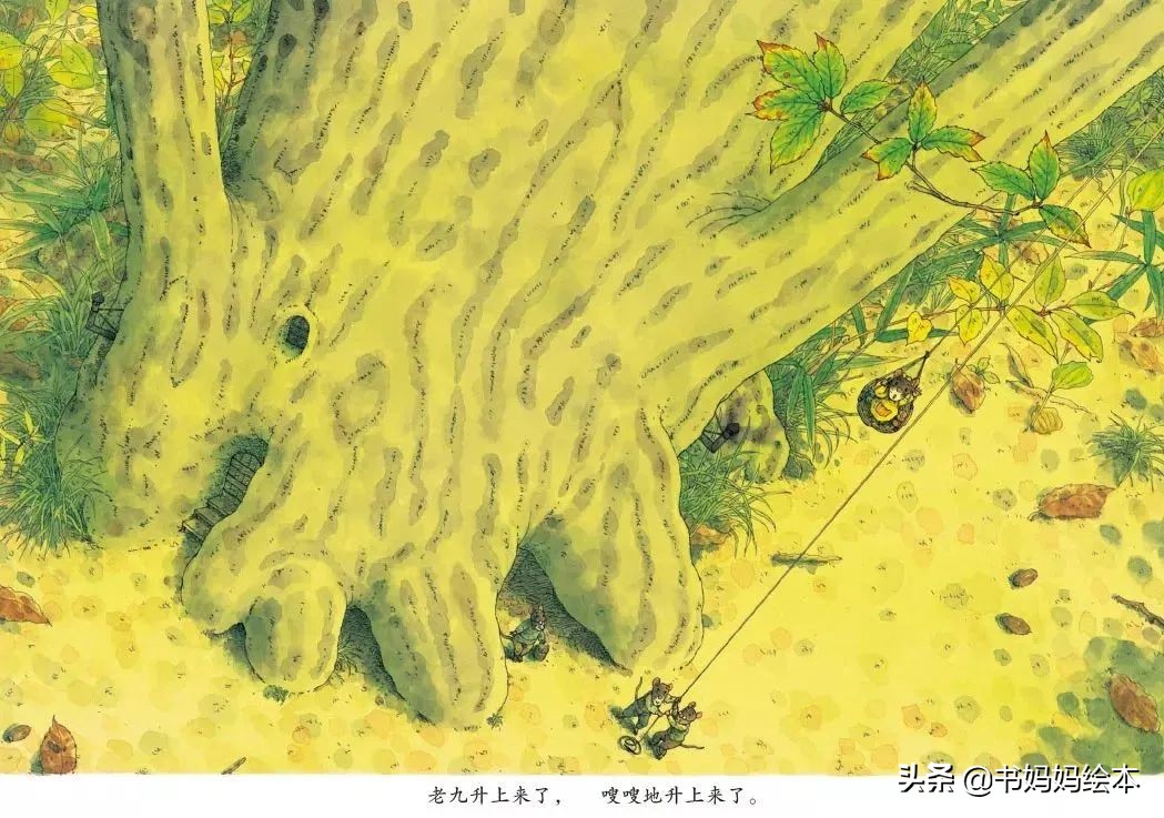 中秋与月亮绘本故事图片,中秋节的晚上我想对月亮许愿绘本