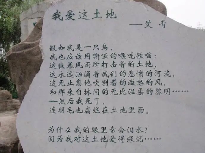 九年级上册单元知识点总结语文,九年级上册语文四五单元的知识点