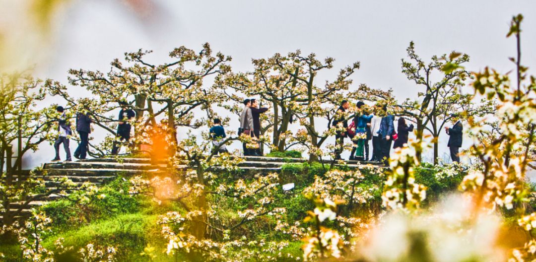 藏在贵州的十座千年古镇,贵州一个低调的千年古城