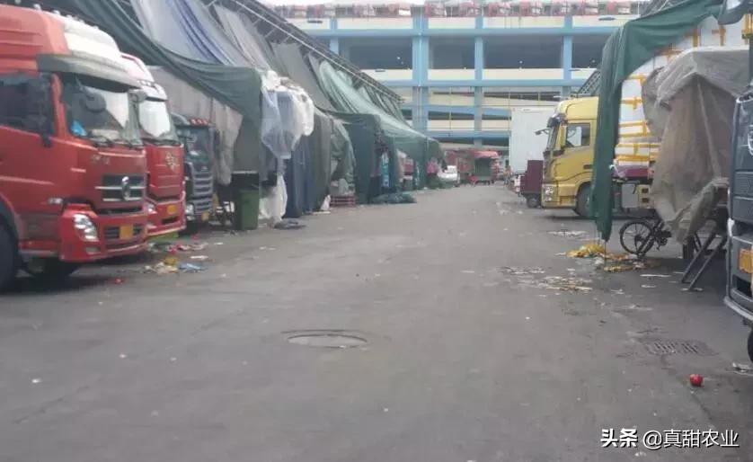 菜农如何搞批发,自己去批发蔬菜进货需要注意什么