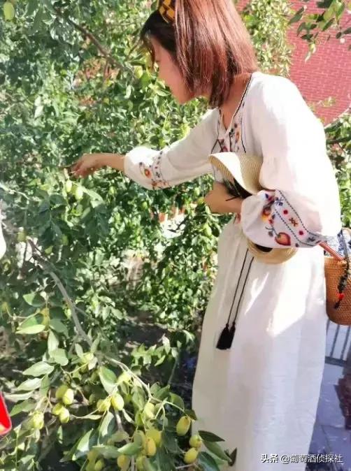 宁夏酒庄之旅,银川酒庄之旅