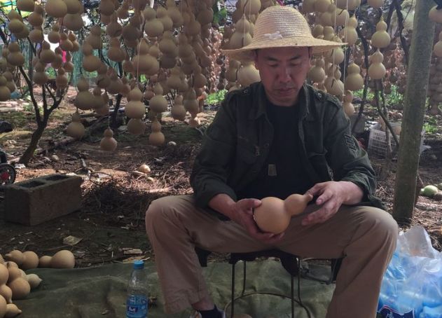 自制葫芦丝手工教程,葫芦丝的制作方法及视频教程