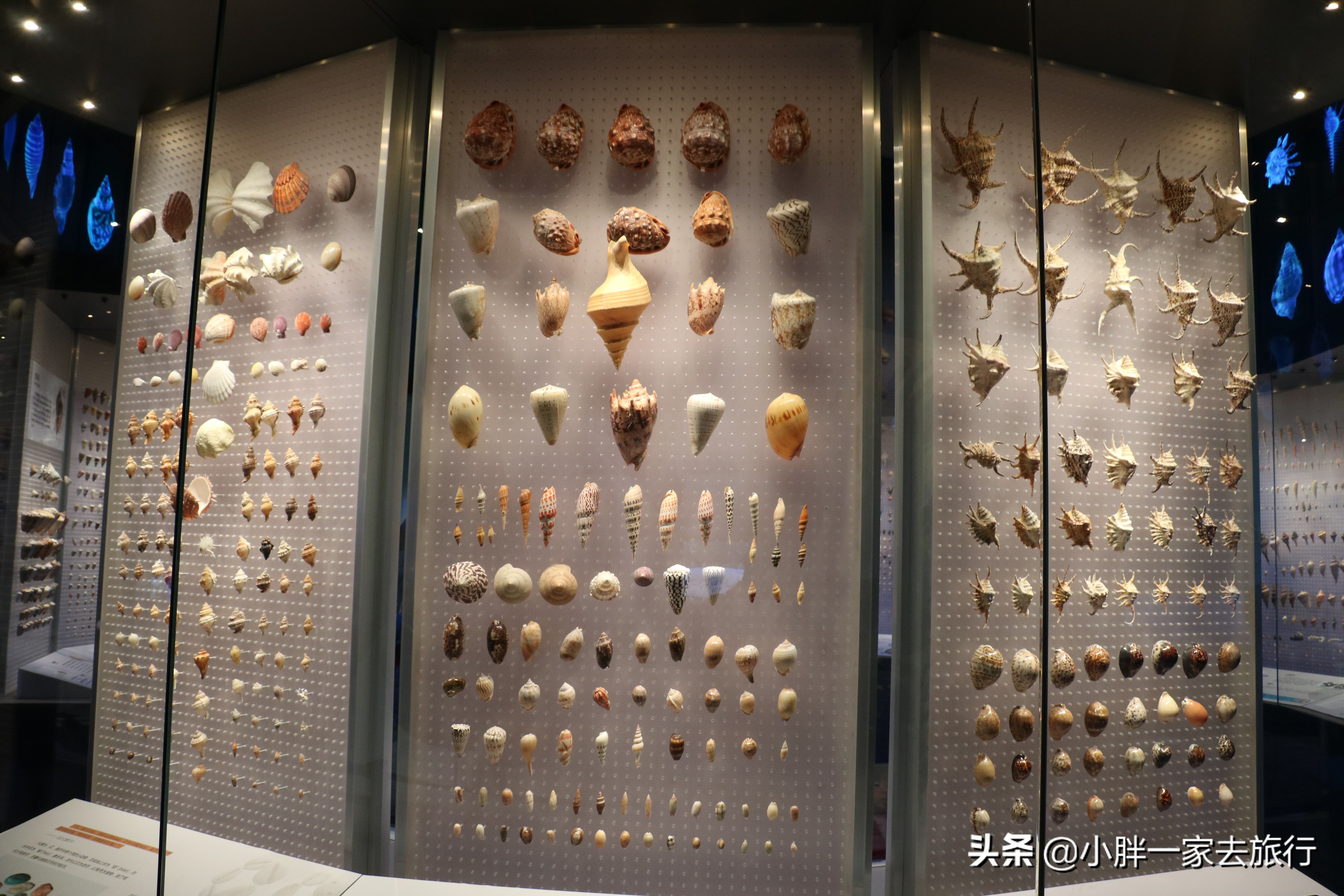 最大的北京海洋博物馆,海上故宫国家海洋博物馆