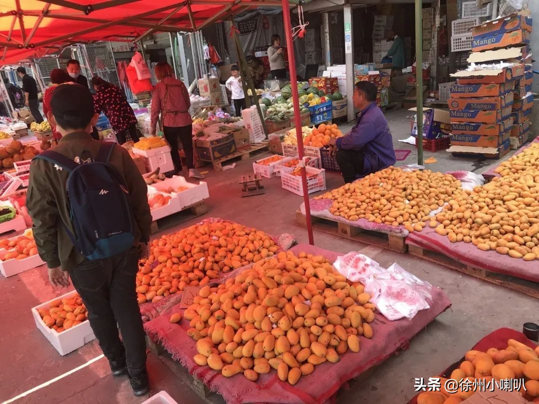 五一徐州去哪儿玩,徐州人五一假期去哪里旅游最好