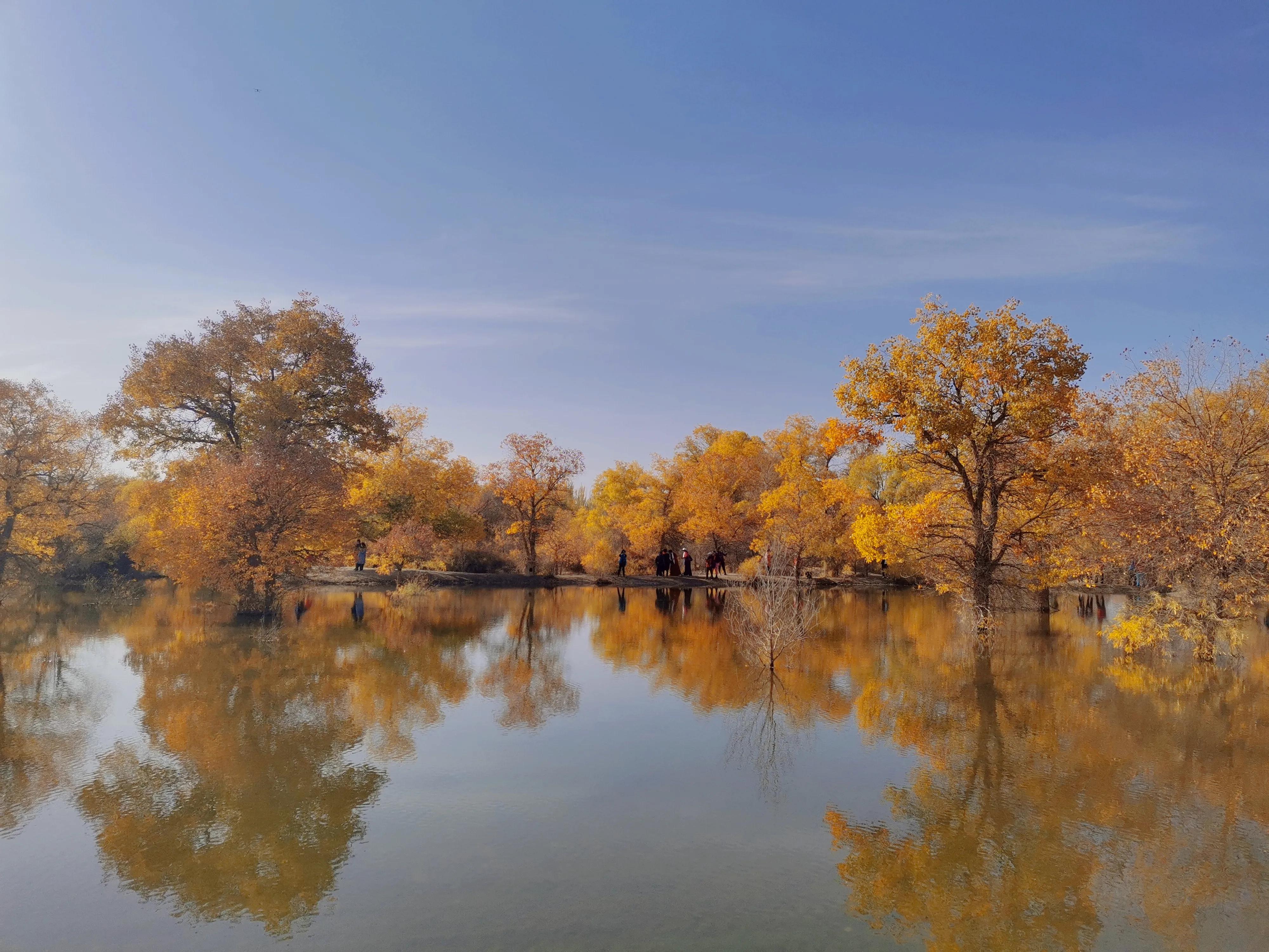 2021秋，噩梦大西北