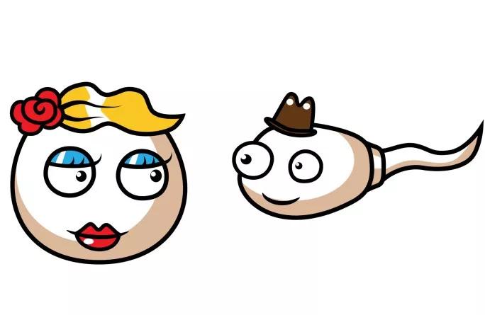 精子离开男性身体后，还能活多久？没投胎成功的都去哪了？答案是