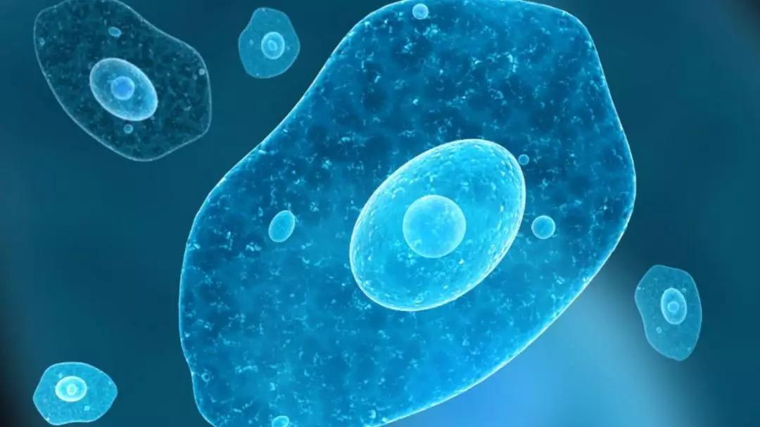 免疫治疗晚期癌症是怎么治疗的,细胞免疫癌症治疗方案