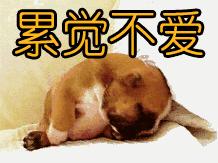 广州林安物流园司机汽车用品,十堰市林安物流园司机之家