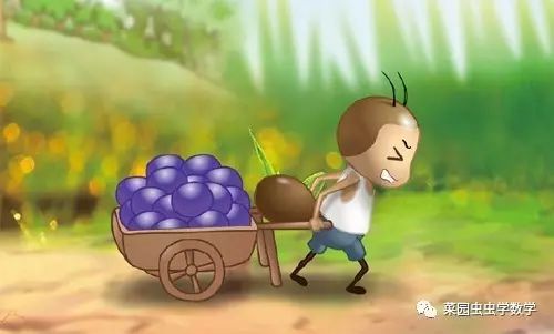 菜园种菜数学问题,菜地种菜数学问题