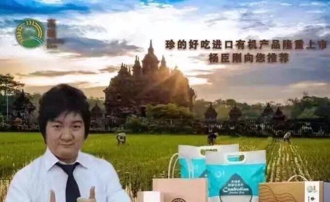 杨臣刚新歌,杨臣刚一首歌赚了多少钱