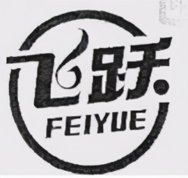 飞跃鞋的历史,飞跃鞋的故事