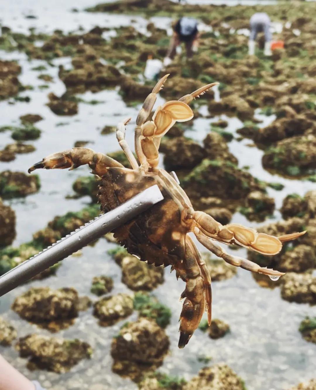 独家整理！青岛周边游最全攻略！自驾3小时内，人少景美还不贵！