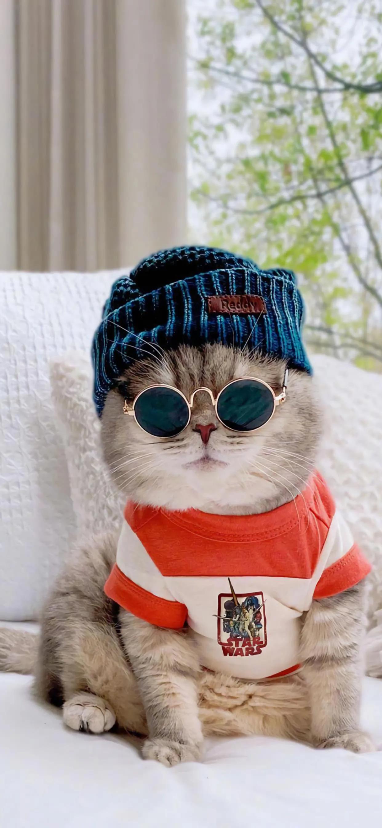 壁纸分享经典手机壁纸,手机壁纸好看的壁纸分享