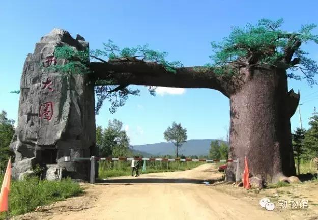 我叫勃利，这是我的个人名片