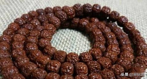 新手推荐什么金刚,骨灰级玩家技巧