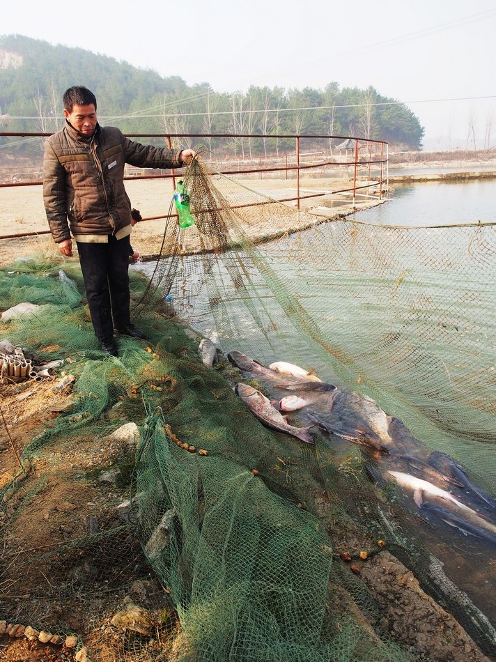 厉害了云雾山,一网捞起18000斤鱼,30块钱吃到撑