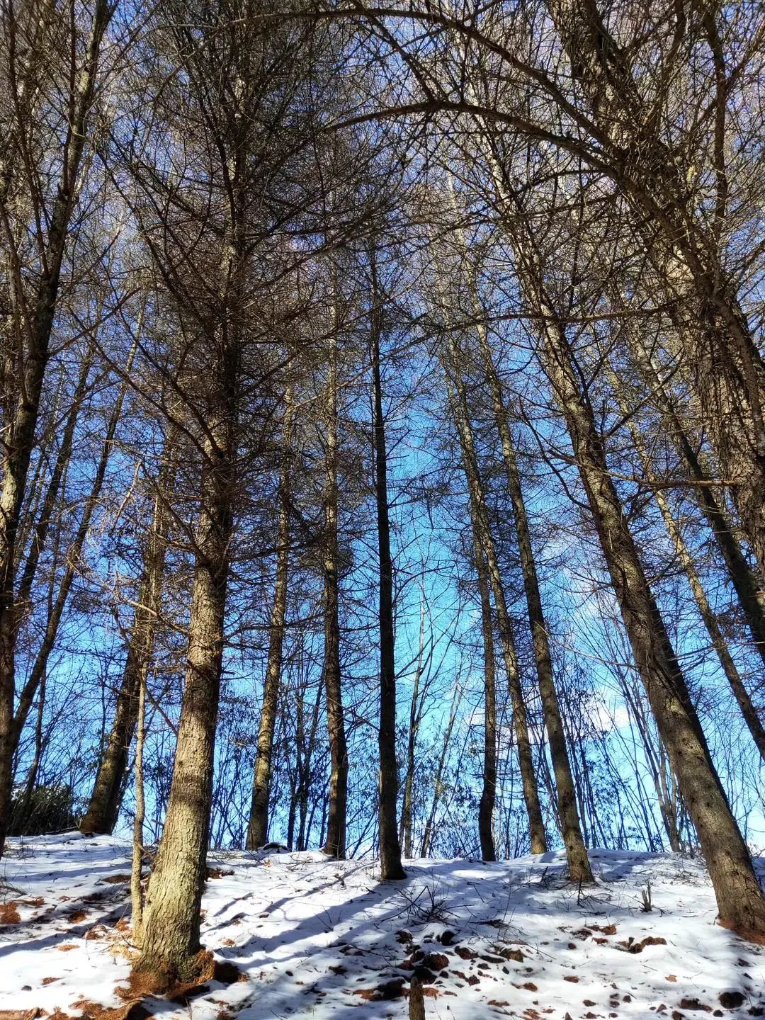 成都周边春节滑雪泡温泉,成都可以玩水也可以玩雪的地方