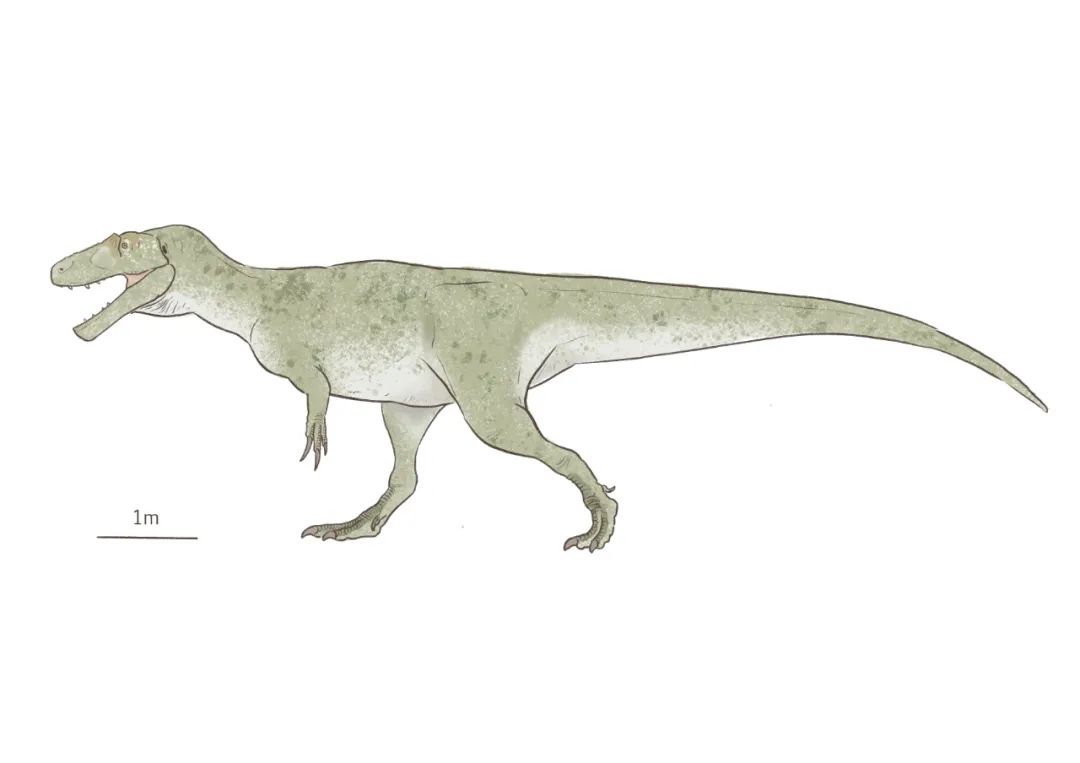 世界上第一种被人类发现的恐龙,世界上第一个被发现的恐龙