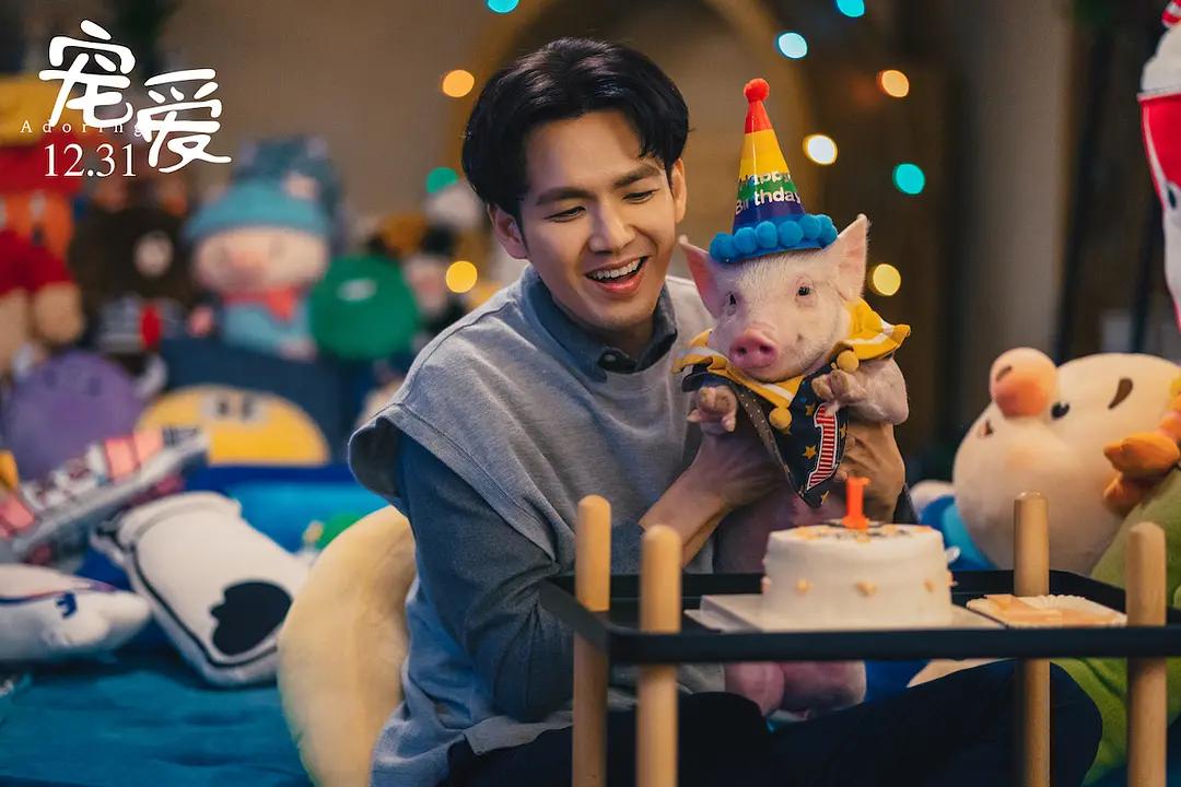 票房超10亿的五部烂片,史上最成功烂片狂揽几十亿票房