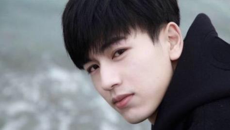 明星撞脸李敏镐,李敏镐陈晓