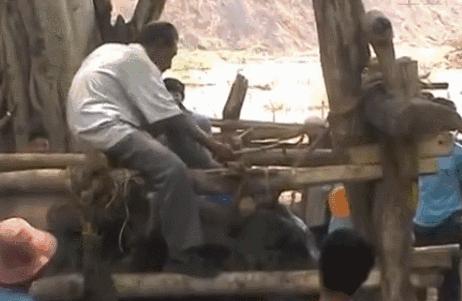 小飞象真实事迹,小飞象哭了全过程