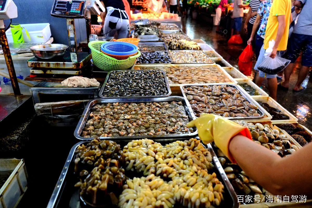 海南自驾游租车推荐,海南租车自驾线路