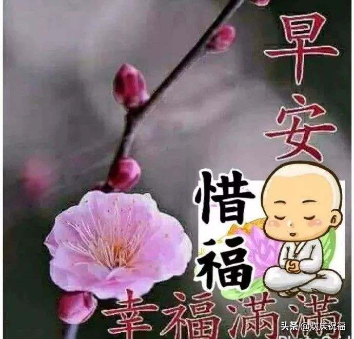 清晨的第一缕阳光早上好图片,清晨最美的祝福问候语图片大全